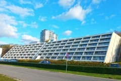 headerimg7